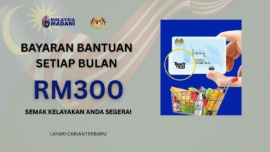 Bantuan RM300 Setiap Bulan Dalam MyKad Untuk Kategori Ini