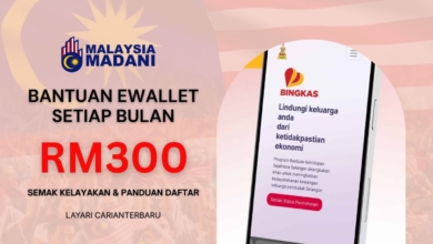 Kredit Ewallet RM300 Sebulan - Cek Kelayakan
